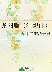 《龙图腾(狂想曲)》