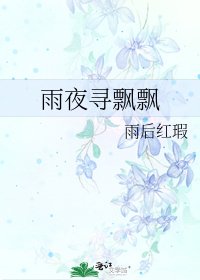 《雨夜寻飘飘》