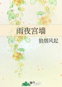 《雨夜宫墙》