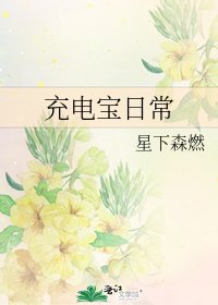 《充电宝日常》