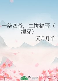 《一条四爷,二饼福晋(清穿)》