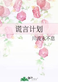 谎言计划
