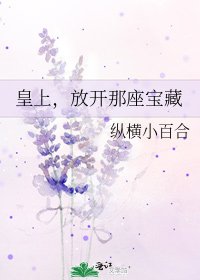《皇上,放开那座宝藏》