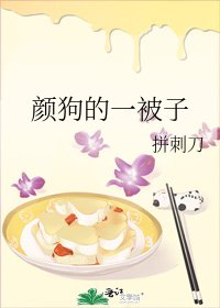 《颜狗的一被子》