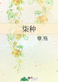 《柒种》