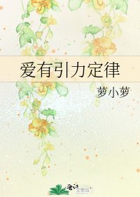 《爱有引力定律》