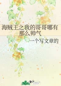 《海贼王之我的哥哥哪有那么帅气》