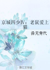 《京城四少Ⅳ:老鼠爱上猫/京城四少4 老鼠爱上猫》