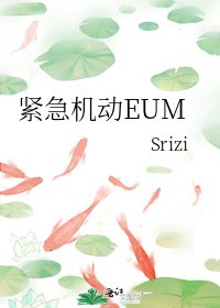 《紧急机动EUM》