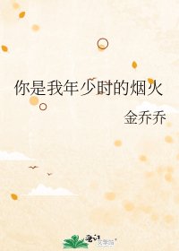 《你是我年少时的烟火》