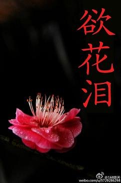 欲花泪