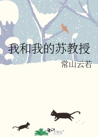 我和我的苏教授