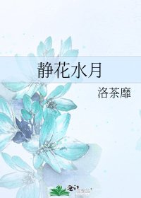 《静花水月》