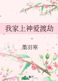 《我家上神爱渡劫》