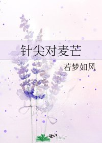 《针尖对麦芒》