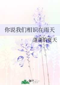 《你说我们相识在雨天》