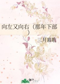 《向左又向右(那年下部)》