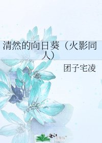 《清然的向日葵(火影同人)》