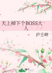 《天上掉下个BOSS大人》