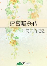 《清宫暗杀转》
