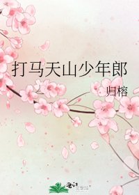 《打马天山少年郎》