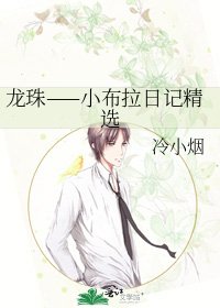 《龙珠——小布拉日记精选》