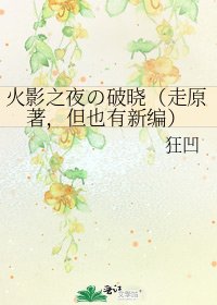 火影之夜の破晓（走原著，但也有新编）