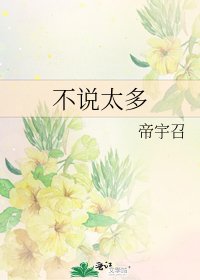 《不说太多》