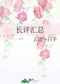 《长评汇总》