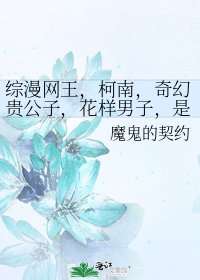 《综漫网王,柯南,奇幻贵公子,花样男子,是美男啊,主美男》