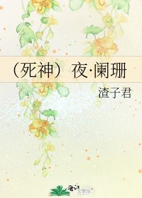 《(死神)夜·阑珊》