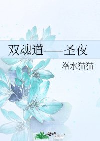 《双魂道——圣夜》