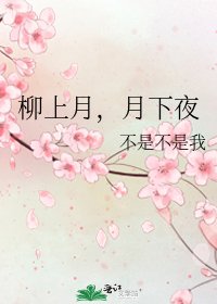 《柳上月,月下夜》