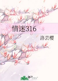 情迷316