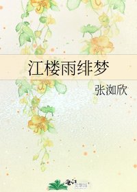 江楼雨绯梦