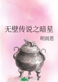 《无壁传说之暗星》