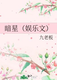 《暗星(娱乐文)》