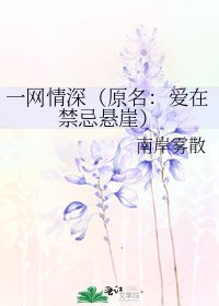《一网情深(原名:爱在禁忌悬崖)》