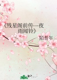 《残星阁前传---夜雨闻铃》