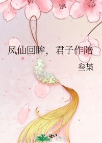 《凤仙回眸,君子作陪》