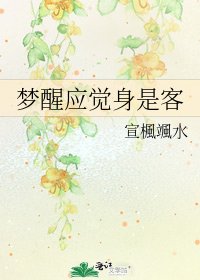 《梦醒应觉身是客》