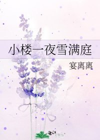 《小楼一夜雪满庭》