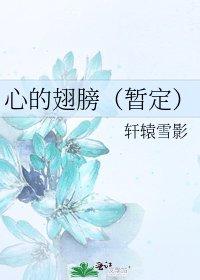 《心的翅膀(暂定)》