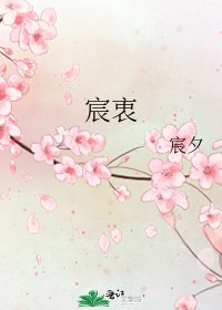 《宸衷》