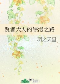 《贤者大人的综漫之路》