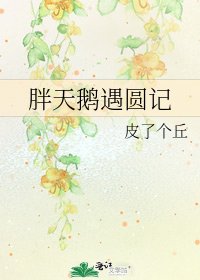 胖天鹅遇圆记