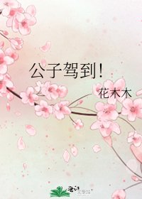 《公子驾到!》
