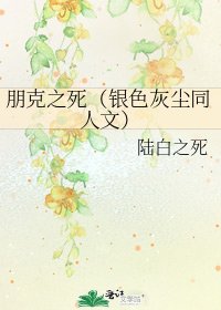 《朋克之死(银色灰尘同人文)》
