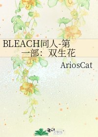 BLEACH同人-第一部：双生花