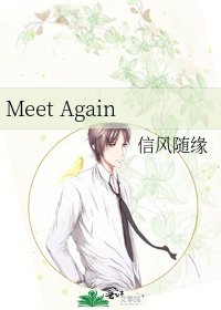 《Meet Again》